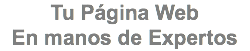 Tu Página Web En manos de Expertos